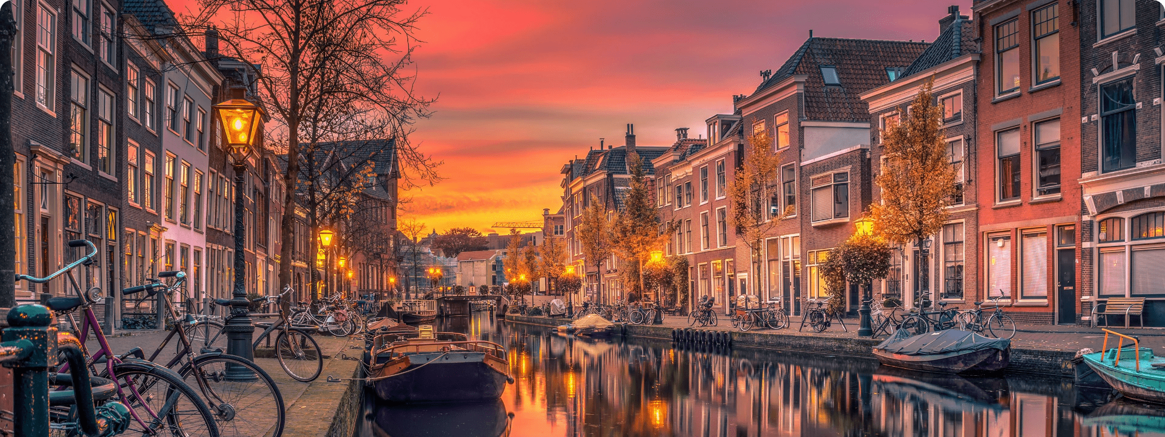 Study In Netherlands