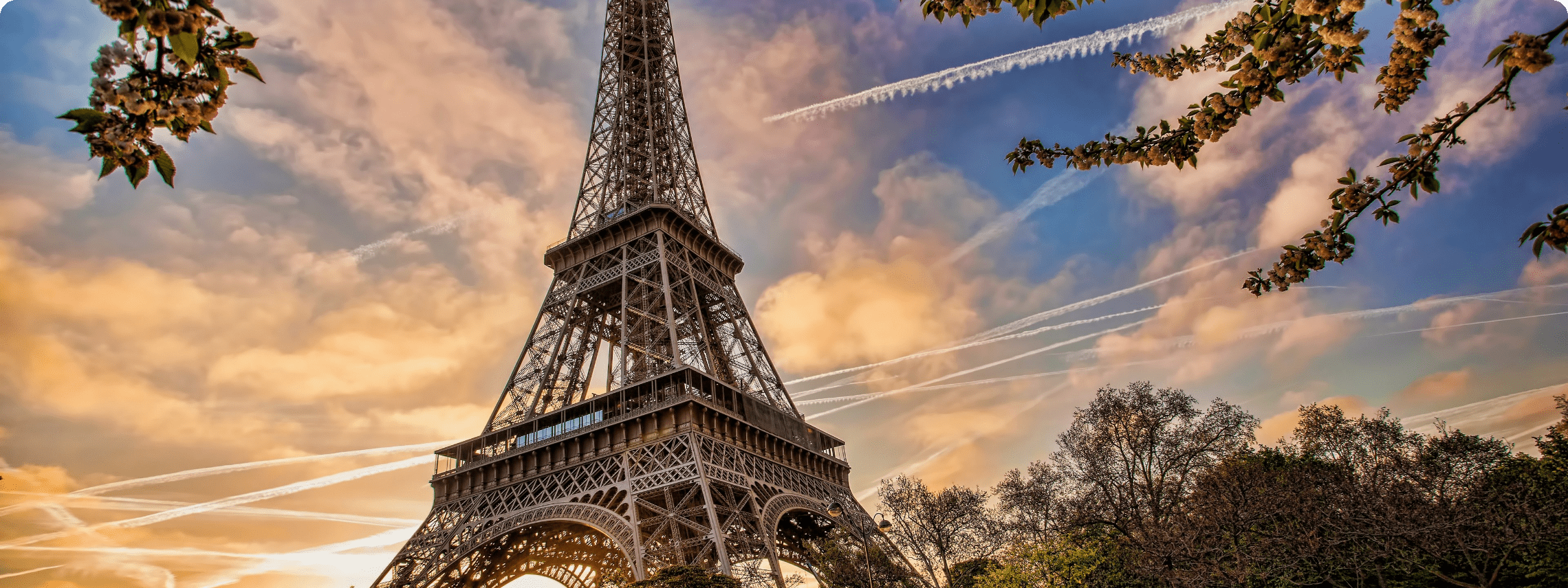 Study In France