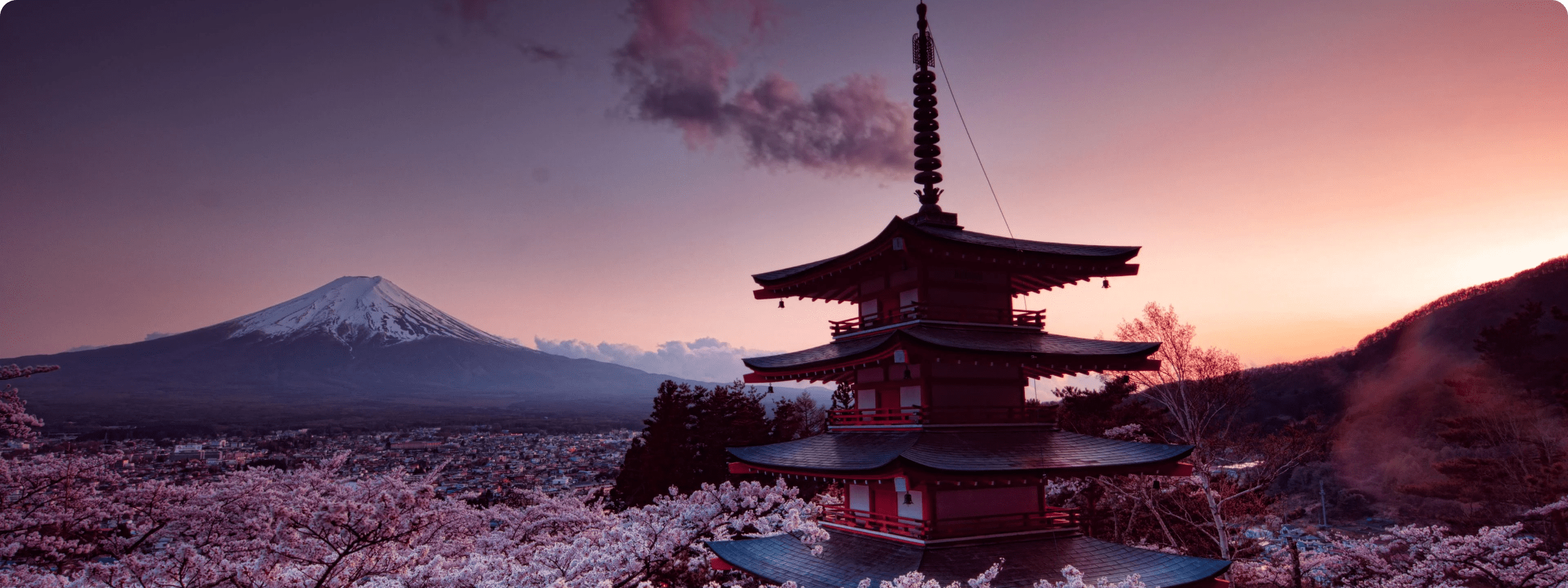 Study In Japan